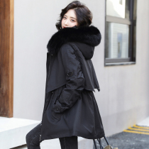 Pie overcomes down the down cotton clothes Female exploits 2021 years winter dress new womens cotton padded jacket in winter cotton coat jacket