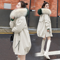 Down cotton clothing female winter small sub 2021 bursting with new female dress to overcome cotton padded jacket in cotton padded jacket