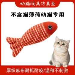 Kitten Toy Self-Entertainment Gadget to Relieve Boredom, Soothe Cats, Specially Designed for Kittens Aged Two Months, for Chewing and Teething, Does Not Contain Catnip