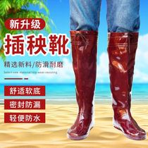 Xiantian transplanting shoes soft bottom transplanting shoes paddy field soft bottom middle high tube knee waterproof boots men and women paddy field boots water shoes Rice