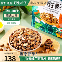 Jiuxin organic wild pine nuts extra large northeastern pine nuts 500g open pine nuts no additives non-fried
