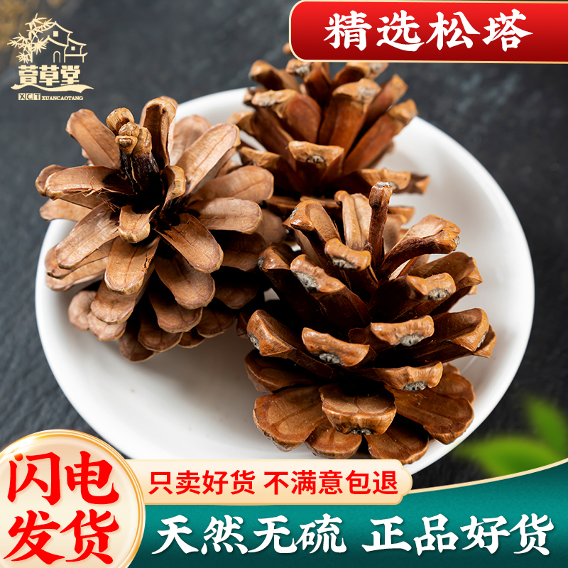 Pine Cones 500g Chinese Medicinal Herbs Pine Cones Pine Balls Pine Nuts Pine Nuts from the Pine Tree Snake Skin Pine Cones White Pine Cones Pine Cones