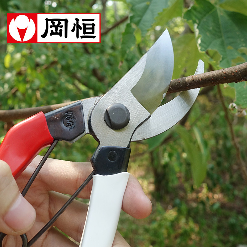 Japan Import Okheng 104 Prunes Cut Garden Art Tools Scissors Coarse Branches Cut Fruit Trees Bonsai Picking Fruit Cut