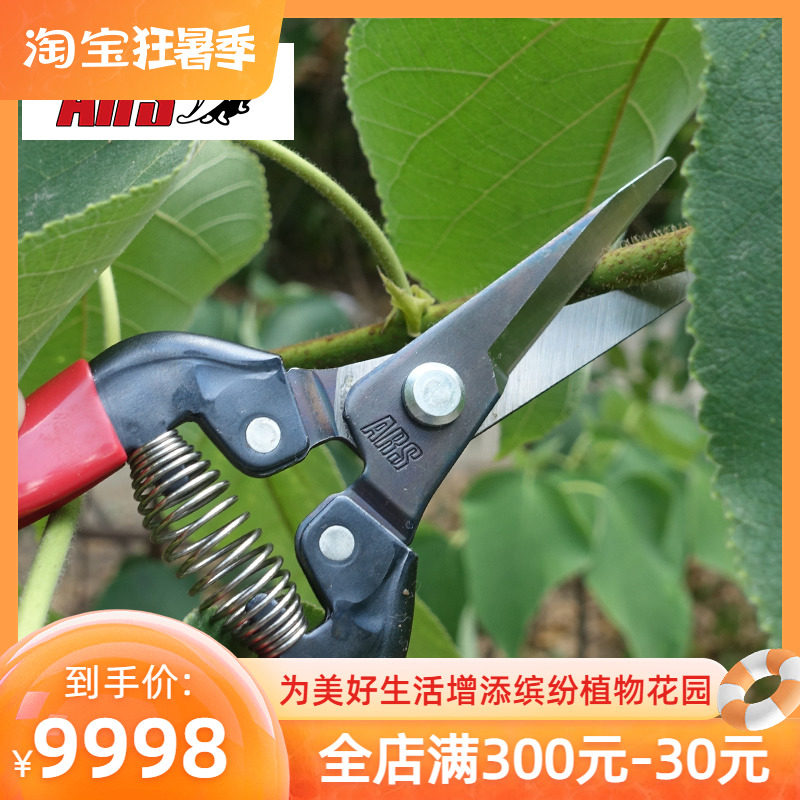 Japan's Alice Picks Fruit-Man 300L Horticultural Sprout Succession Cut Orchard Lengthened Blades Fruits Grape Rare Fruit Straight Head Scissors