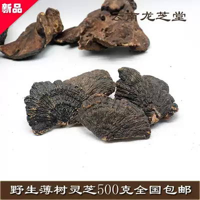 Yunnan authentic natural wild thin tree Zhi tree ganoderma lucidum Linzhi layer pore bacteria slice grinding powder 500g