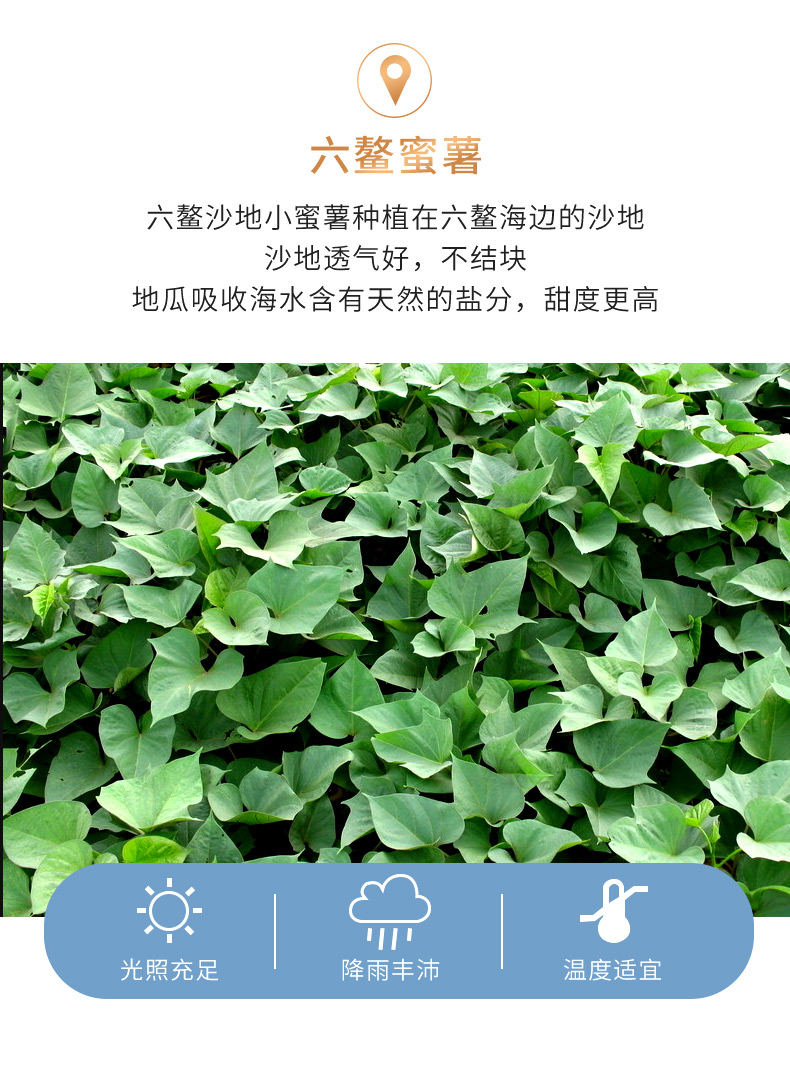 好想你 冰烤蜜薯360g*2件 无油低卡 图5