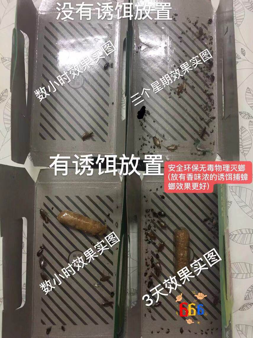 Powerful Cockroach House Sticker Environmentally Friendly Home Non-toxic Catcher Kitchen God Instrumental Kerstars Insect Repellent one pot end