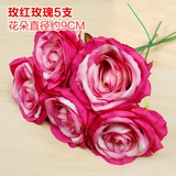 Зеленое растение Стенка Стены Растение настенные лужайки