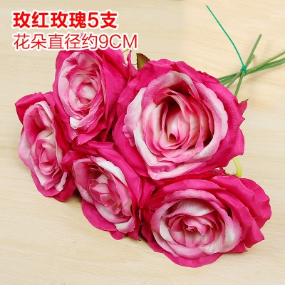 Зеленое растение Стенка Стены Растение настенные лужайки