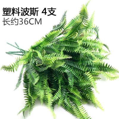 Зеленое растение Стенка Стены Растение настенные лужайки