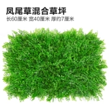 Зеленое растение Стенка Стены Растение настенные лужайки