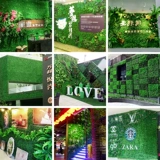 Зеленое растение Стенка Стены Растение настенные лужайки