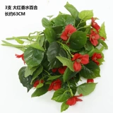 Зеленое растение Стенка Стены Растение настенные лужайки