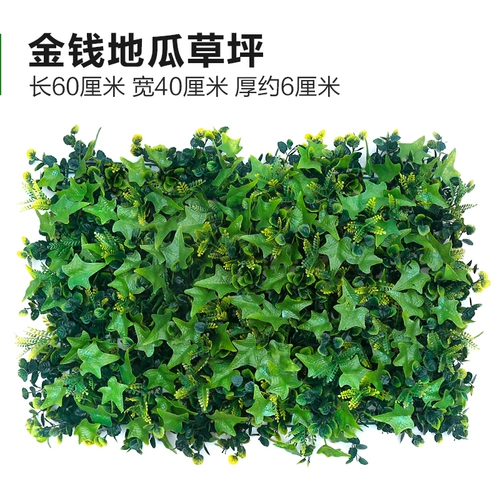 Зеленое растение Стенка Стены Растение настенные лужайки