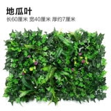 Зеленое растение Стенка Стены Растение настенные лужайки