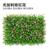 Зеленое растение Стенка Стены Растение настенные лужайки