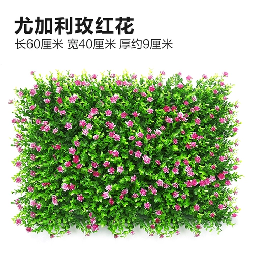 Зеленое растение Стенка Стены Растение настенные лужайки