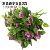 Зеленое растение Стенка Стены Растение настенные лужайки