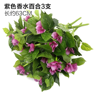 Зеленое растение Стенка Стены Растение настенные лужайки