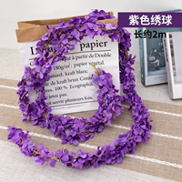 Фиолетовая гортеня [2 штуки]