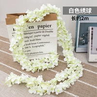 Белая гортеня [2 штуки]