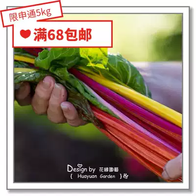 Flower edge Pickles imported vegetable seeds * British TM * chard vegetables * leaf beets * rainbow combination 10