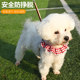 Anti-Escape Puppy Leash Harness Teddy Bichon