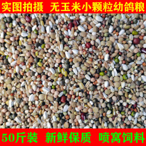 Young Dove Grain without corn AAA Spray Cohorts for small grain Food Sense dove feed Bird food 50 catfish