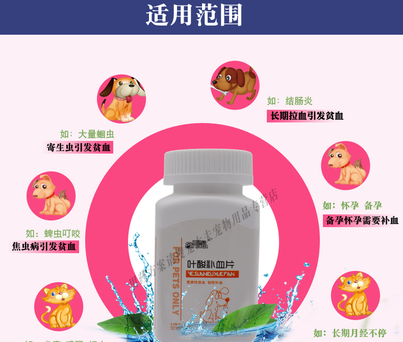 Aina nó axit folic phim máu chó con chó mèo thiếu máu bổ sung sắt máu tinh trùng thú cưng mang thai - Cat / Dog Health bổ sung Sữa cho mèo con giá bảo nhiều