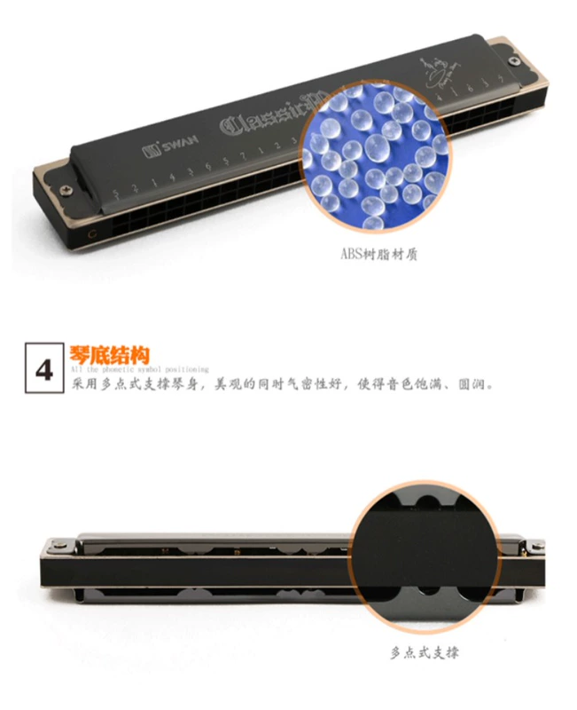 Swan Harmonica 24 lỗ đa âm C chuyên nghiệp chơi người lớn ABDEFG giai điệu cho người mới bắt đầu học sinh nhạc cụ - Nhạc cụ phương Tây