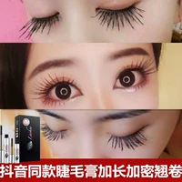 Lắc cùng mascara uốn cong không thấm nước không nở mã hóa dài tự nhiên tăng trưởng mạng lưới mỹ phẩm đỏ missha 4d mascara