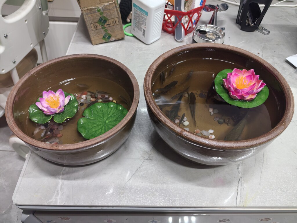 西部陶都荣州土陶