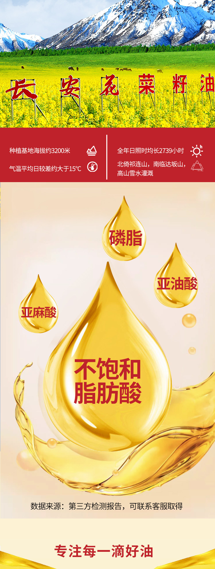 安享好物 安享B级菜籽油-长安花初榨菜籽油 行标 