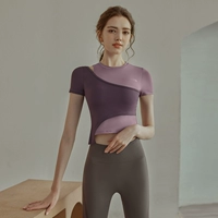 J31084DY фиолетовый