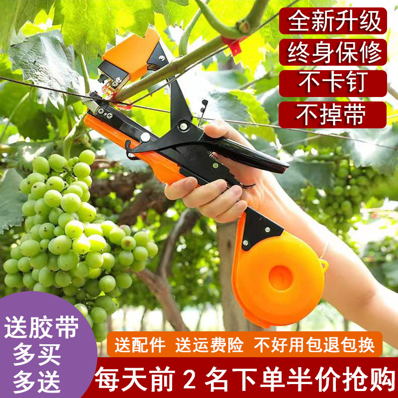 New tied tomatoes tied with rattan, agricultural tied with tomato rattan machine grapes with nail adhesive tape tying machine
