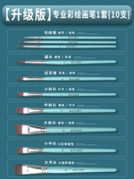Профессиональная окрашенная кисть, модернизированная версия, 10 шт