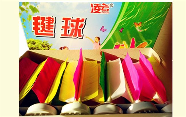 Trò chơi chuyên dụng tập thể dục đào tạo lông ngỗng thể thao đá bóng đá cầu lông đặc biệt 毽 sức đề kháng để tóc thẳng lưới bóng - Các môn thể thao cầu lông / Diabolo / dân gian cầu đá