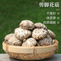 Big dried shiitake mushrooms wild foot-cut mushrooms fragrant mushrooms tea tree fungus Shanzhen farmers home products 200g