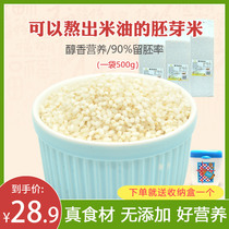 Germ rice grain nutrition vacuum rice porridge Rice grains Brown rice BB rice complementary food to send babies and toddlers recipes