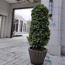 Outdoor Plaza Flower Pot Groove Styling Mall Hotel Large Doorway Sales Floor Special-shaped plate Room GRP florator