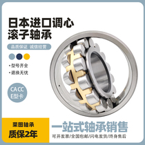 Japan imports NSK Tune Bearing 22205CDE4 22206 22207 22208 22209 22210CA
