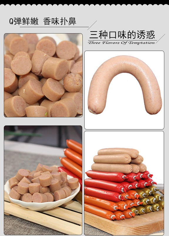 Pet ham xúc xích 30 gậy cat dog snack chó ham xúc xích 9 9 - Đồ ăn vặt cho chó 	những đồ ăn vặt cho chó