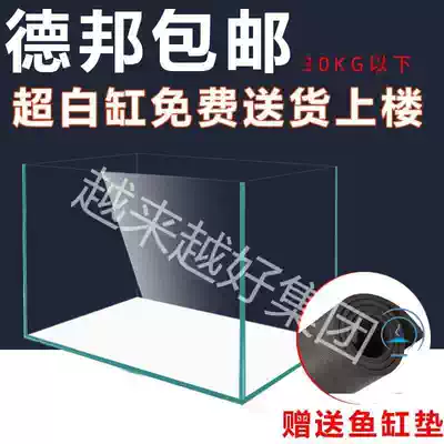 Ultra-white fish tank custom-made Jinjing ultra-white glass living room small household ecological aquatic plant turtle tank rain tank