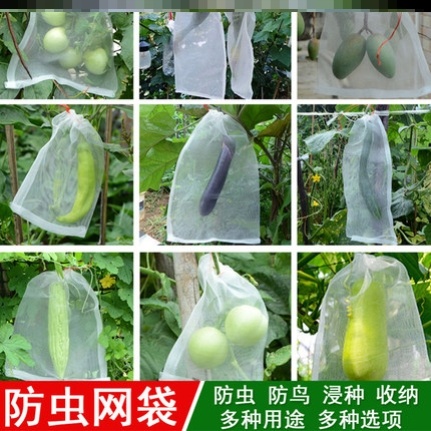 Anti-fruit fly eggplant loquat bagging artifact cherry soaking bag cucumber anti-insect net bag light-transmitting litchi fruit tree bag