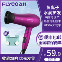 Feike hair dryer Household 2000W high-power anion hair care quick-drying portable folding mute hair dryer