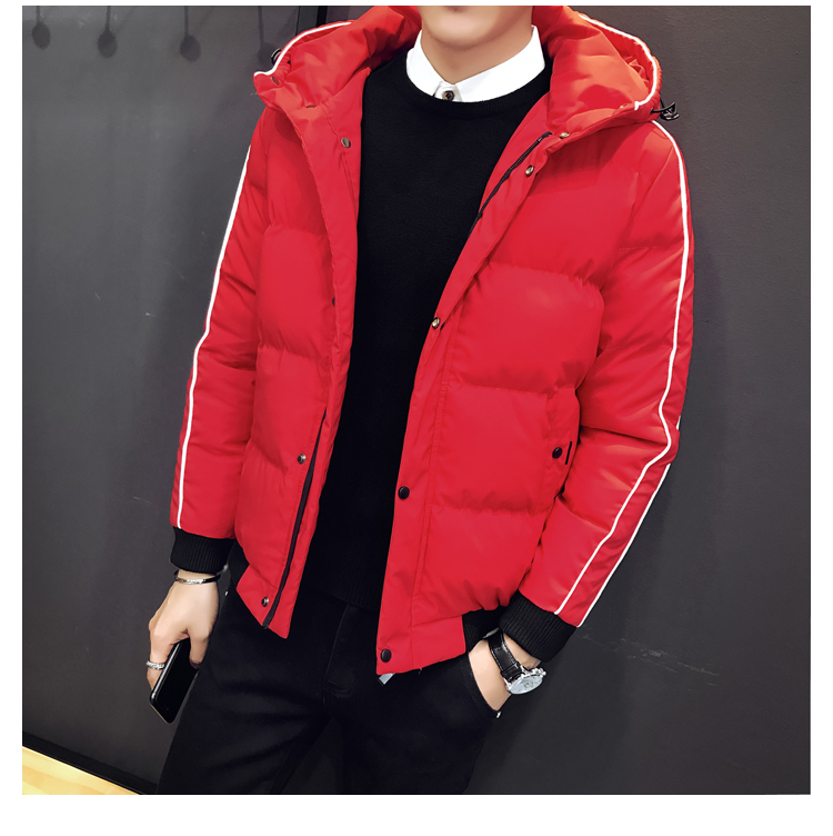 Blouson hiver pour homme en Polyester - Ref 3114027 Image 9
