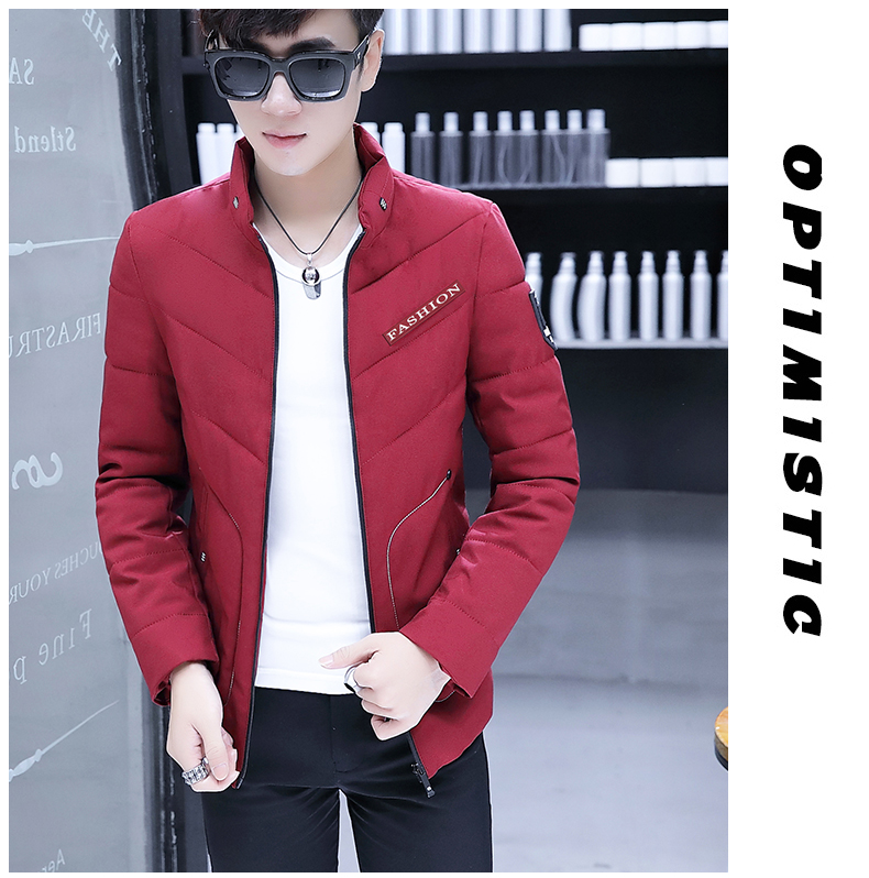 Blouson hiver pour homme en Polyester - Ref 3112658 Image 20