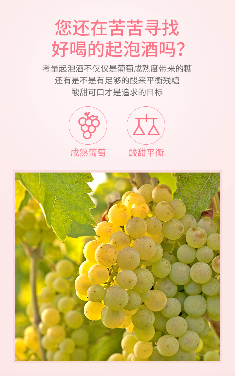 德国进口 汉凯 君来系列 桃红香槟起泡酒 750ml 图3