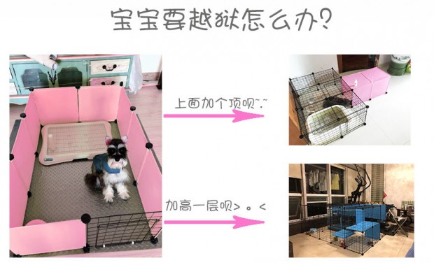 Pet cung cấp chó lồng mèo lồng tự làm chó cưng hàng rào cần thiết hàng ngày Teddy pháp luật Bomei hàng rào nhỏ - Cat / Dog hàng ngày Neccessities 	bát ăn inox cho chó	