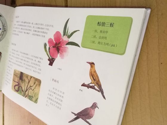 This is the Autumn and Winter Edition of the Twenty-Four Solar Terms Picture Book/Nature Notebook (Twenty-Four Solar Terms priced at 100 yuan), the best-selling picture book Nature Observation Notes, a popular science reading for nature observation classes outside the classroom